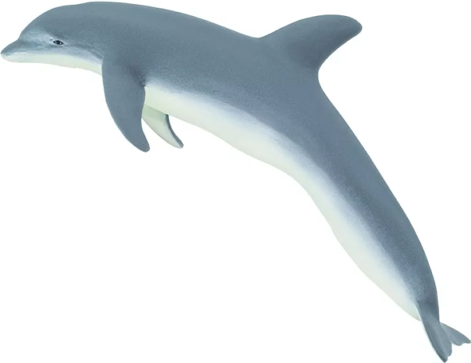 Delfin cu bot (Tursiops) Safari Ltd.