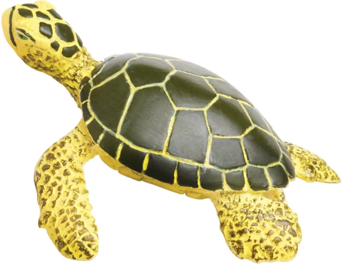 Ideală pentru a învăța despre natură și ocean