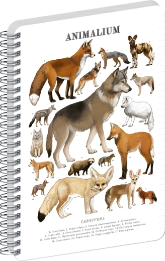 Bloc cu spirală Notique Animalium – canide, cu linii, A4