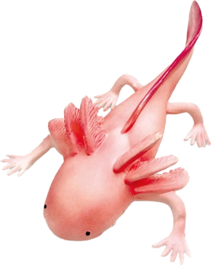 Axolotl din cauciuc 19 cm