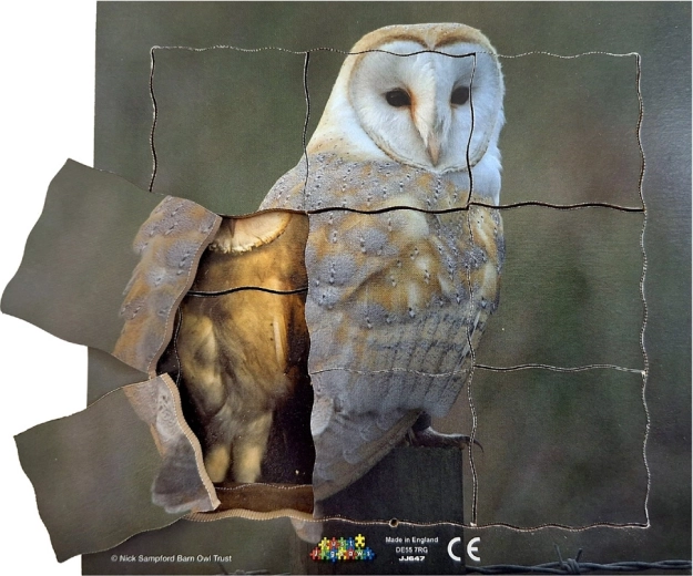 Just Jigsaws Bufnița și ciclul ei de viață - puzzle stratificat din lemn