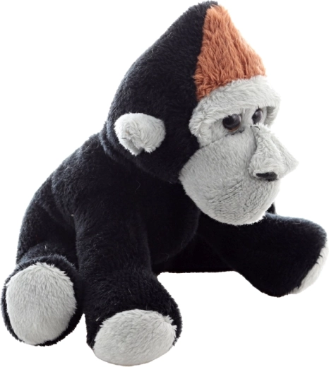 Detalii adorabile și expresie prietenoasă