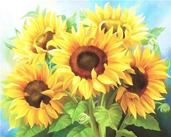 NORIMPEX Pictură pe numere Buchet de floarea-soarelui 40 × 50 cm