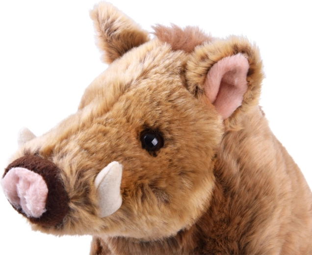 Execuție sigură cu certificare CE