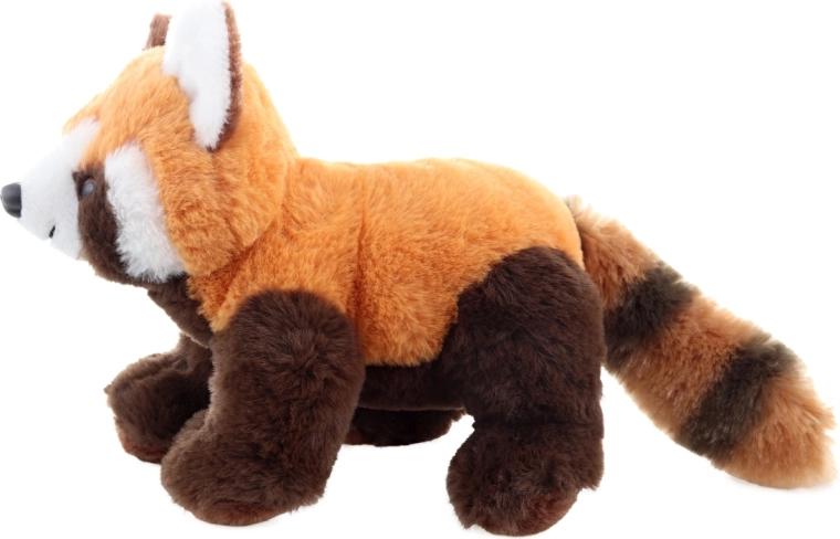 Detalii realiste ale pandei roșii