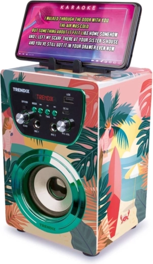 Conectivitate Bluetooth și karaoke de pe telefon
