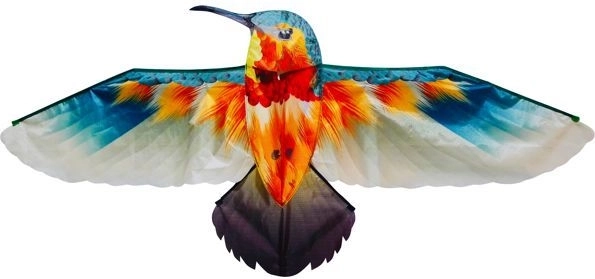 Zmeul Colibri