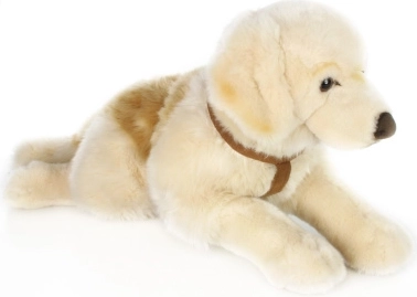 Retriever de pluș 70 cm