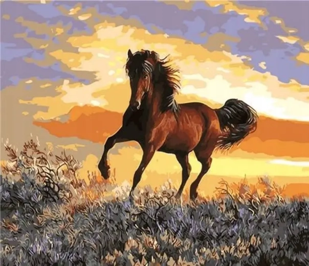Norimpex pictură pe numere Cal la apus 40 × 50 cm