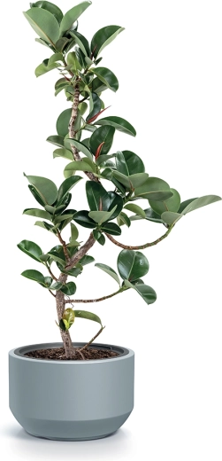 Material rezistent pentru exterior și interior