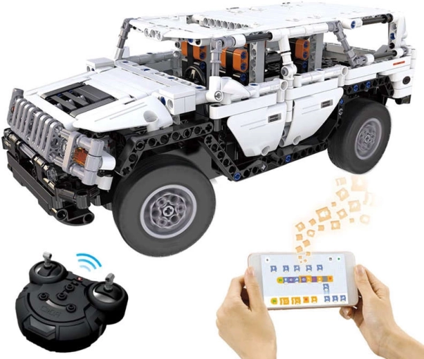 Control dublu: RC și aplicație