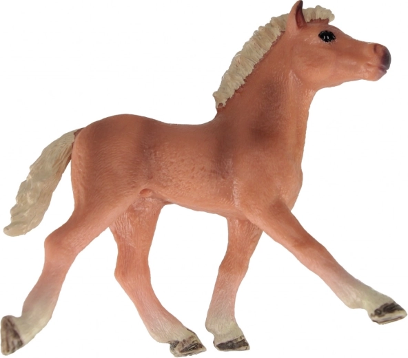 Trei variante atractive