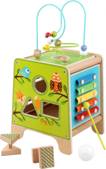 Cub motric din lemn 5 în 1 cu xilofon LUCY & LEO