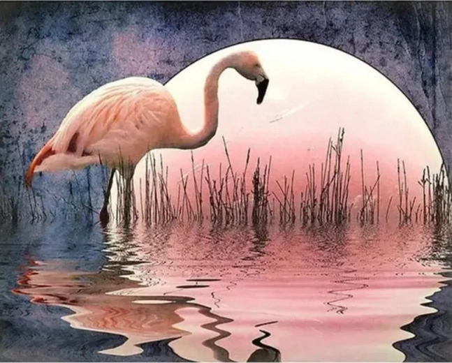 Norimpex Pictură după numere Flamingo 40 × 50 cm