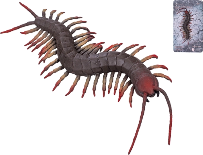 Miriapod elastic 17 cm
