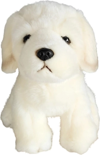 Câine de pluș Golden Retriever 19 cm