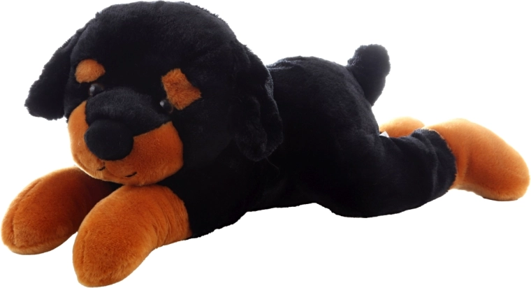 Sigur pentru cei mai mici (0+)