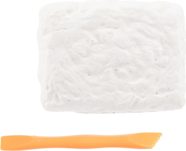 Tot ce ai nevoie în pachet