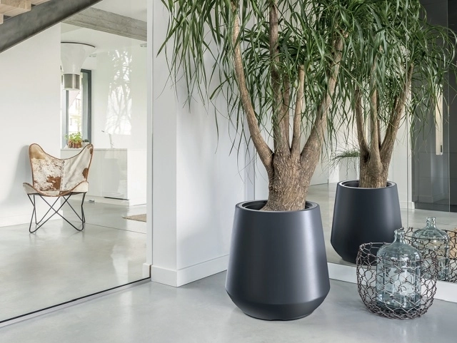 Design modern pentru interior și exterior