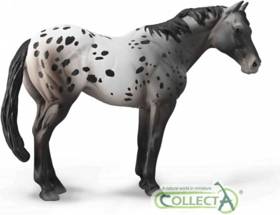 figurina cal appaloosa blue roan COLLECTA