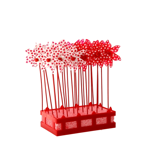 Excelentă pentru aranjamente și evenimente