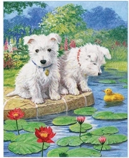 Norimpex pictură pe numere Câini maltezi lângă lac 40 × 50 cm