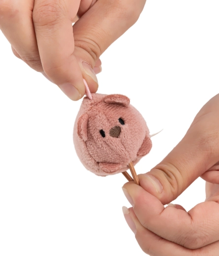 Design adorabil pentru stilul kawaii