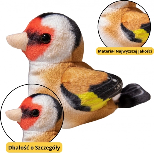 Mică Pasăre De Pluș Albastru Pițigoi