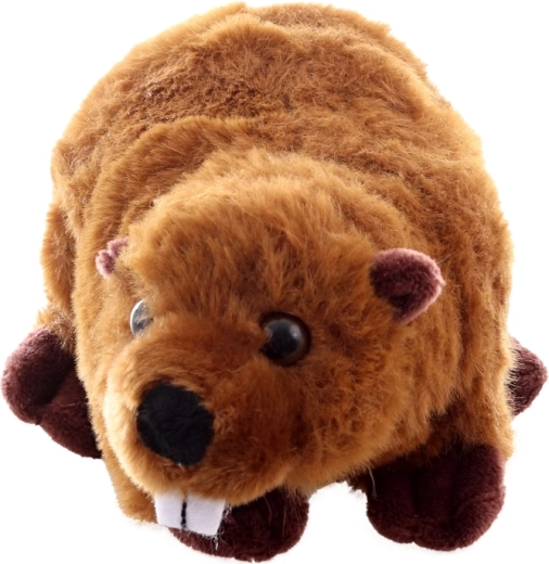 Detalii realiste și aspect drăguț