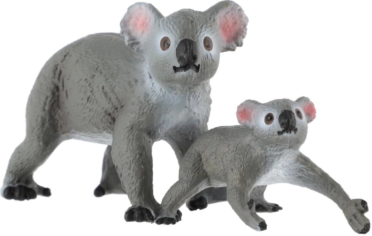 Koala cu pui