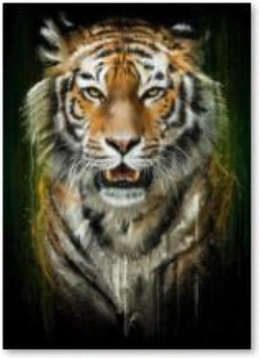 Broderie cu diamante (diamond painting) tigru - 30 × 40 cm