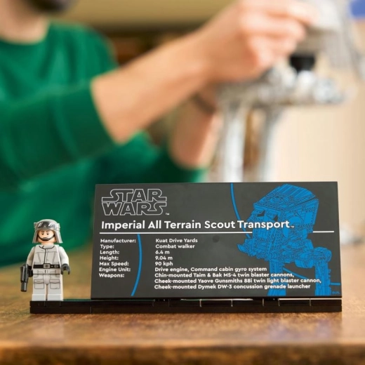 Display de colecție cu etichetă și minifigurină