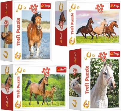 Minipuzzle Cai 54 piese