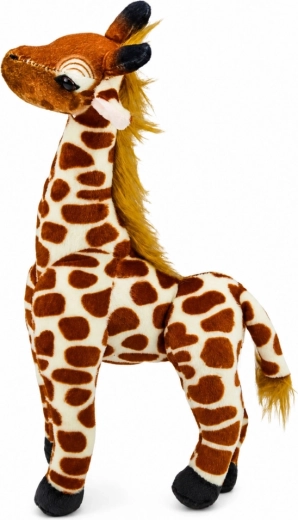 Detalii realiste ale girafei