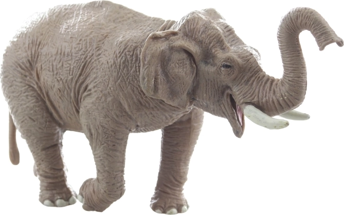 Construcție durabilă și stabilă