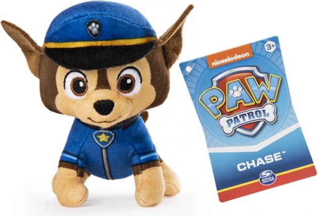 Uniformă autentică cu insignă