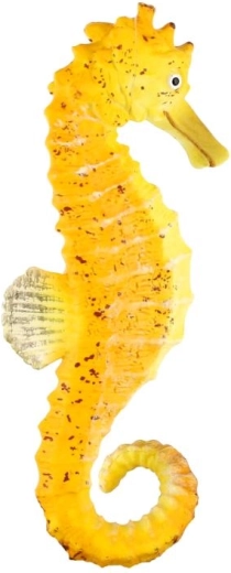 Dimensiune compactă de 8 cm