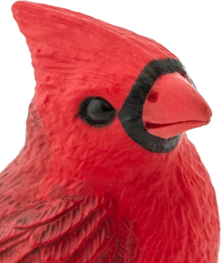 Redare realistă a cardinalului