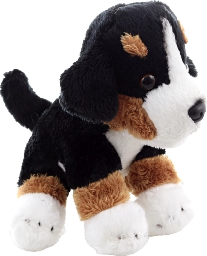 Însoțitor ușor și compact