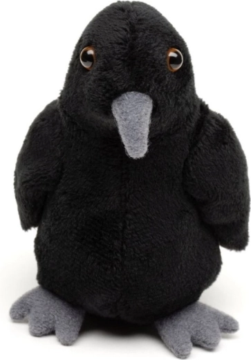 Companion moale și catifelat