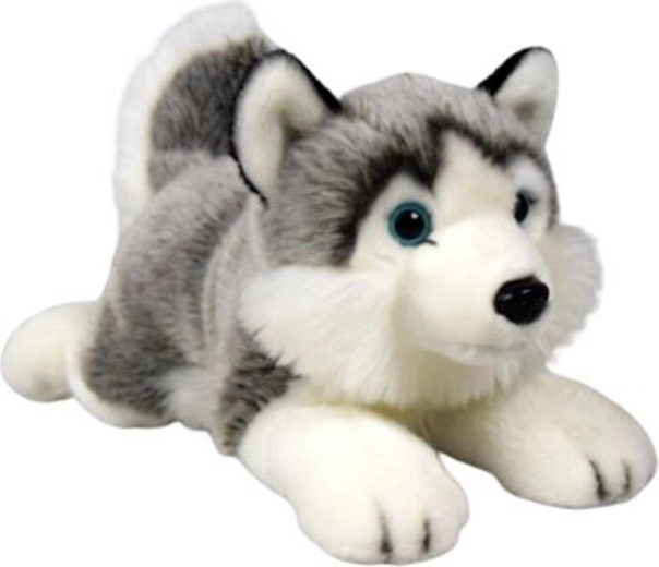 Husky de pluș culcat 34 cm