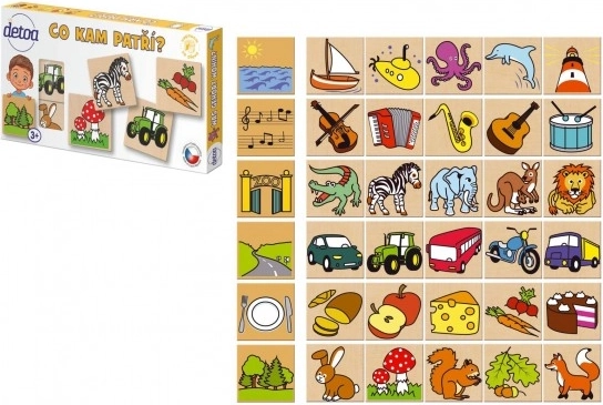 Puzzle din lemn Detoa Ce unde aparține