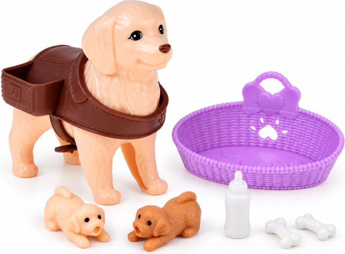 Accesorii pentru îngrijirea familiei canine