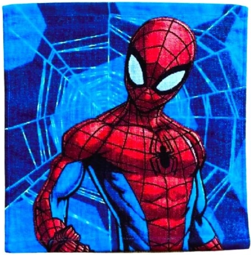 Prosop pentru față Spiderman
