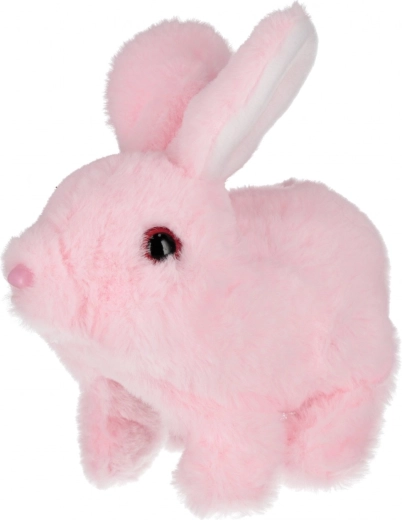 Pluș fin care te îmbie la îmbrățișat