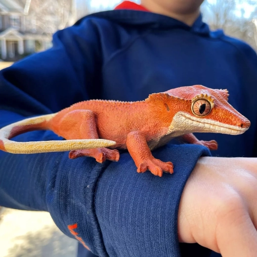Scara 1:1 – ca un gecko real