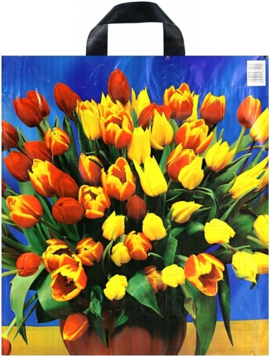 Pungă de cumpărături din plastic imprimată, cu mâner tip bandă 43 × 48 cm - 1 bucată