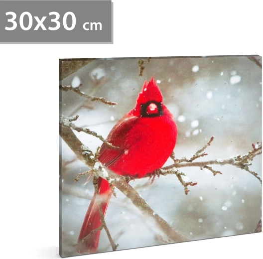 Tablou LED cu cardinal roșu 30 × 30 cm