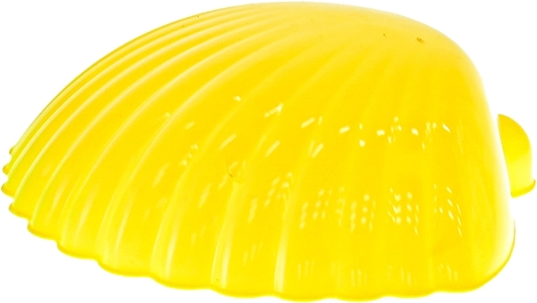 Amprente realiste cu forma de scoică