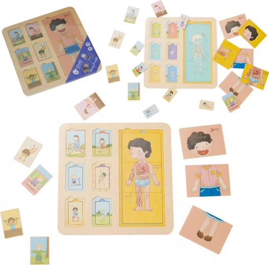 Puzzle didactic din lemn al corpului uman pentru copii - Classic World